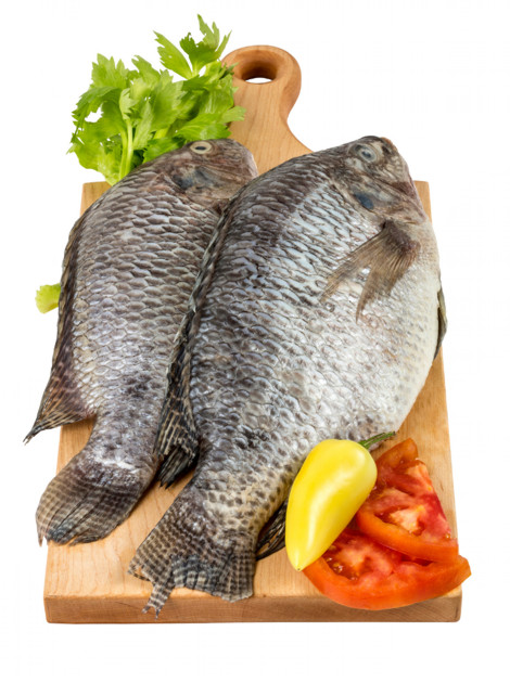 VENTA DE MARISCOS AL MAYOREO